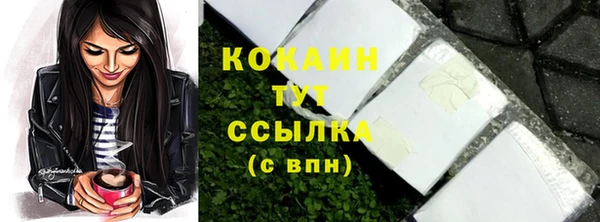 ПСИЛОЦИБИНОВЫЕ ГРИБЫ Аркадак