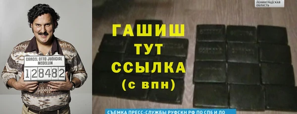 крисы Армянск
