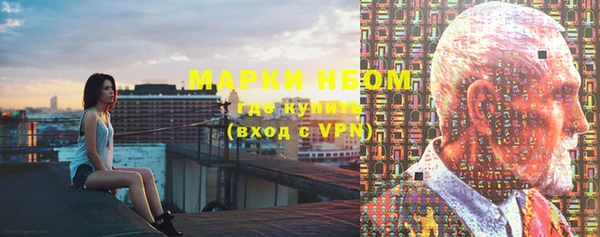 ПСИЛОЦИБИНОВЫЕ ГРИБЫ Аркадак