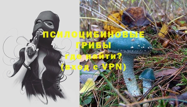 ПСИЛОЦИБИНОВЫЕ ГРИБЫ Аркадак